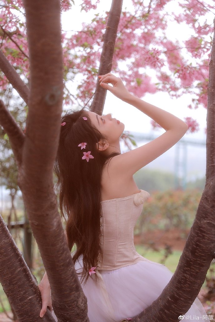 被嫌弃的松子的一生